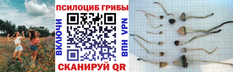 Купить где  Мыски  Галлюциногенные грибы прущие грибы 